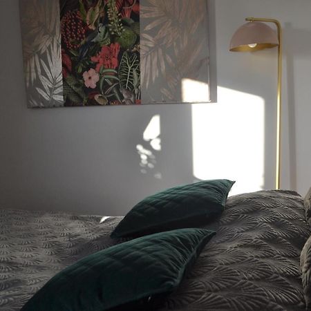 Aloes Studio كراكوفيا المظهر الخارجي الصورة
