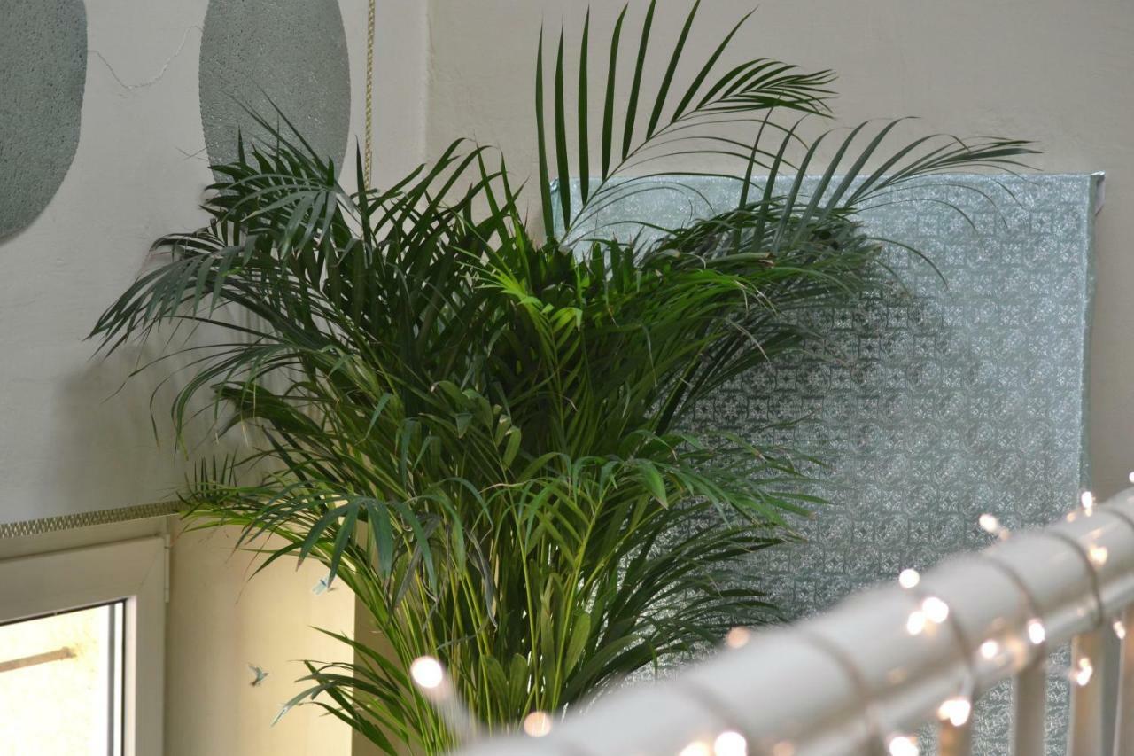 Aloes Studio كراكوفيا المظهر الخارجي الصورة